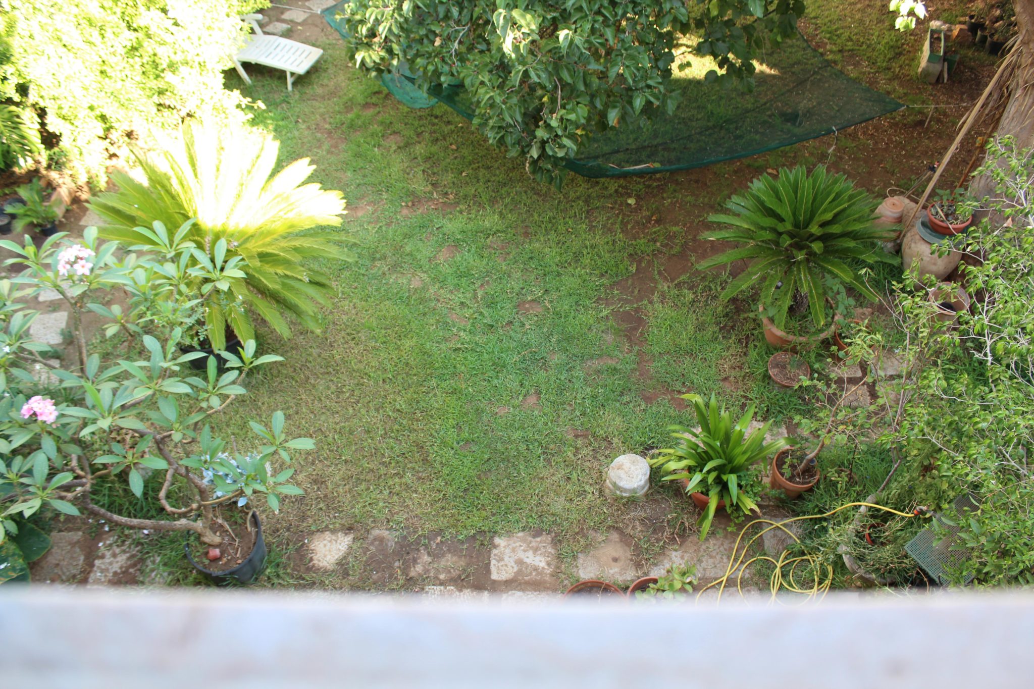 Il Dammuso chambre vue sur le jardin